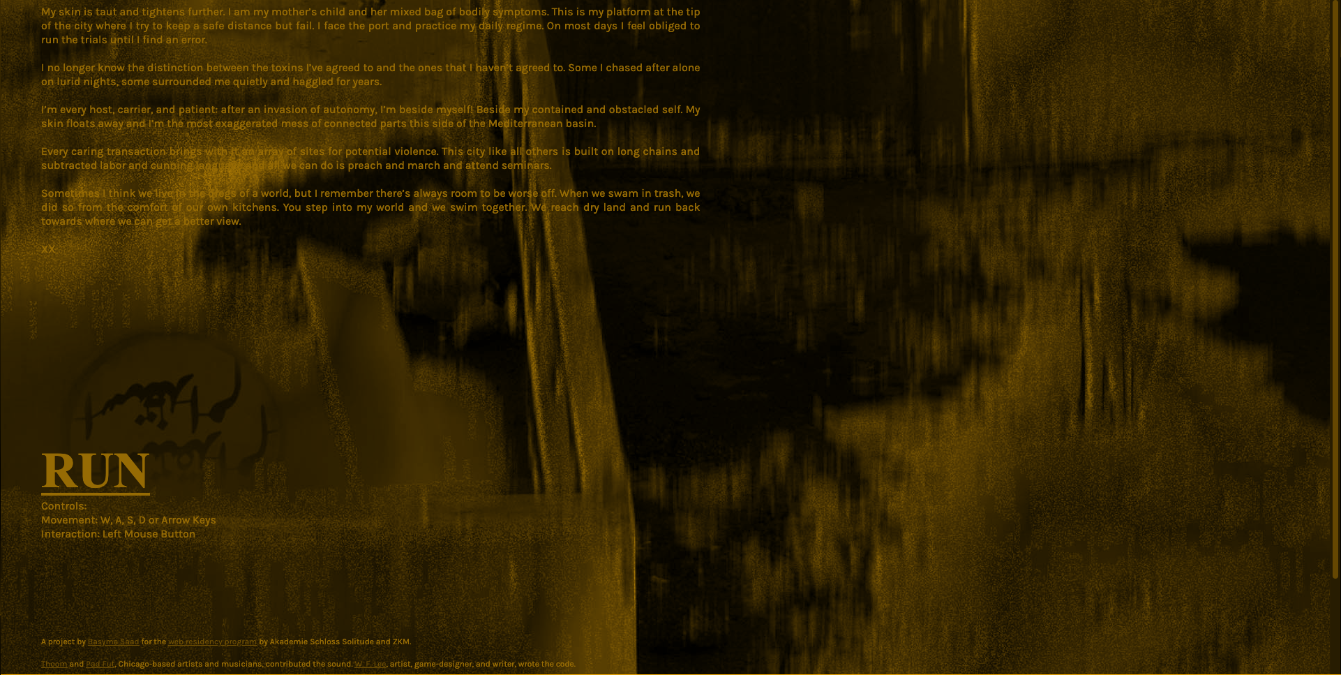 Syscare by Basyma Saad